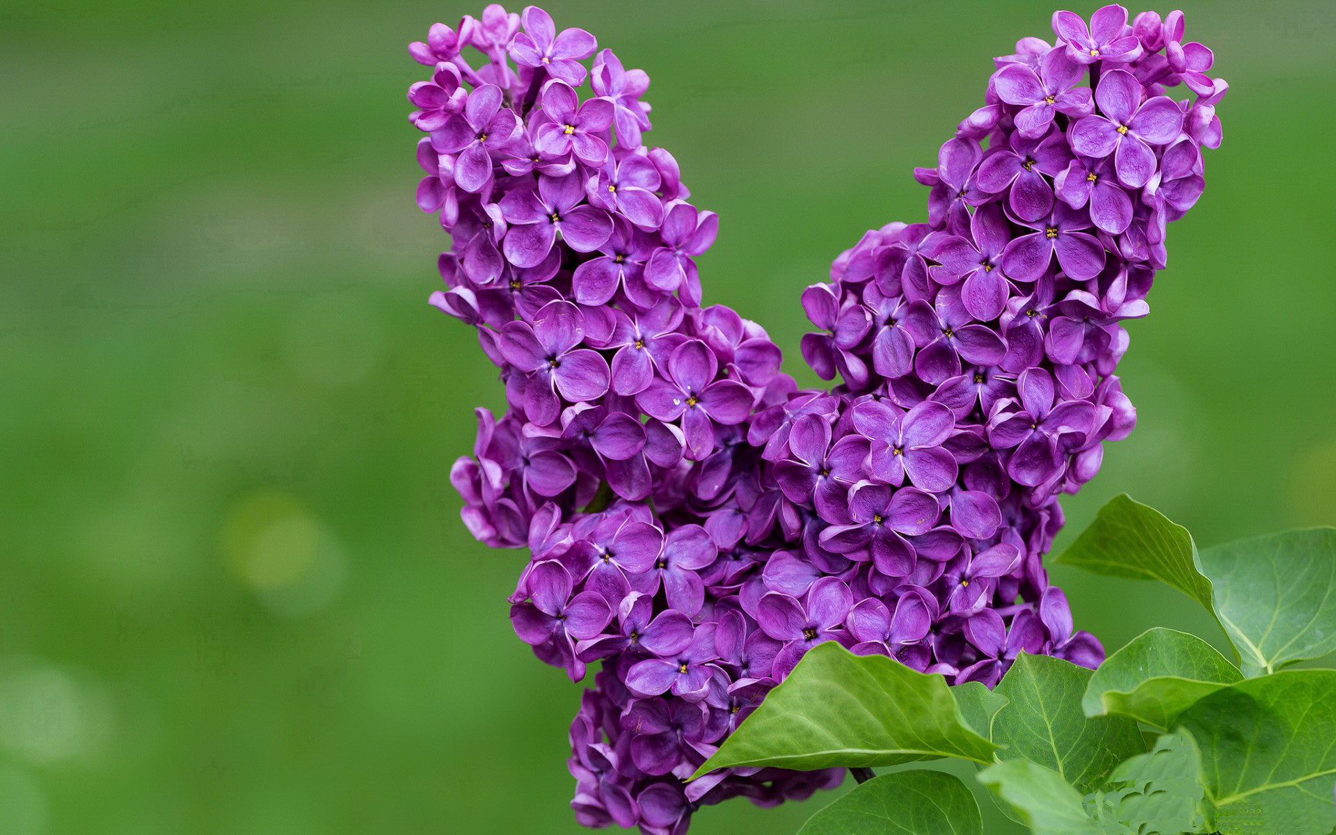 破晓神话,当第七大陆的狂涛,吞噬了旧航海家的星图