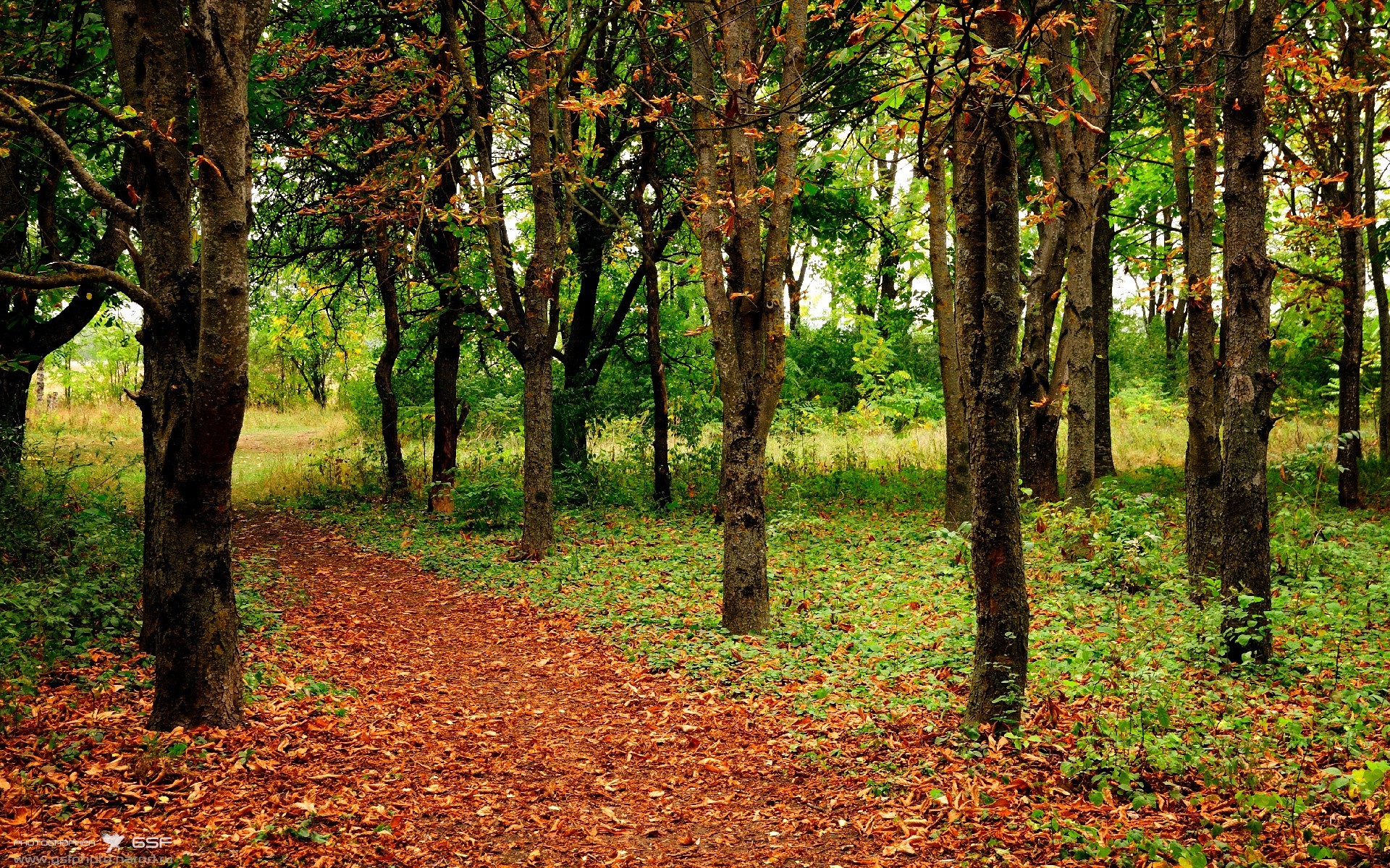 安联无声,维洛德雷的风,与那个点燃冰与火的男人