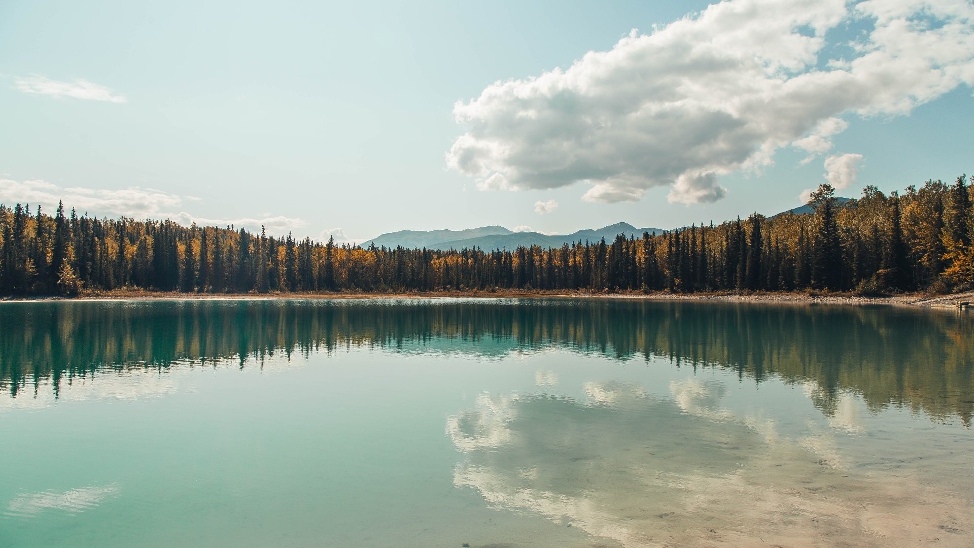 烈焰焚局，波尔一己之力扭转葡波之战