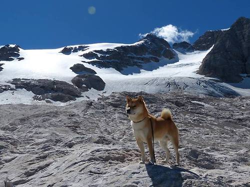 唯一之战,北京队跨洋挑战森林狼,西亚卡姆冠军光芒照亮赛场