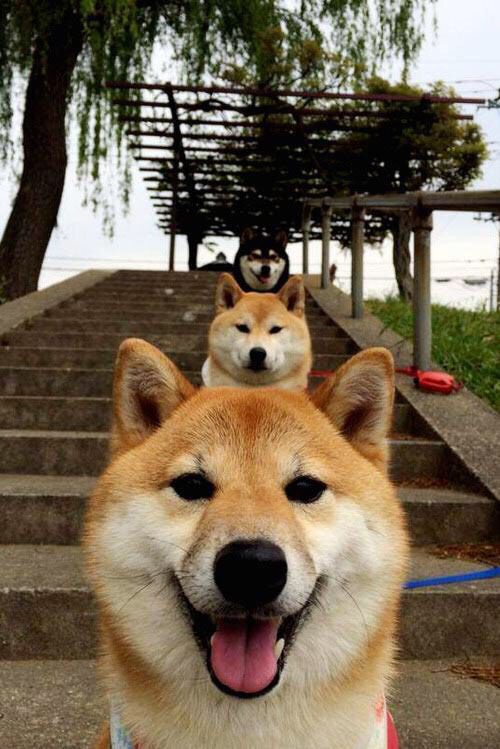 非洲之光，美洲之魂，当奇迹与硬仗在命运战场交响