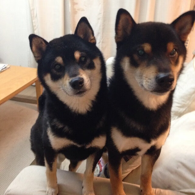 爱游戏tv-独臂擎天，桑巴惊雷炸响巴黎之夜 奥利维耶爆发引领巴西生死战逆袭