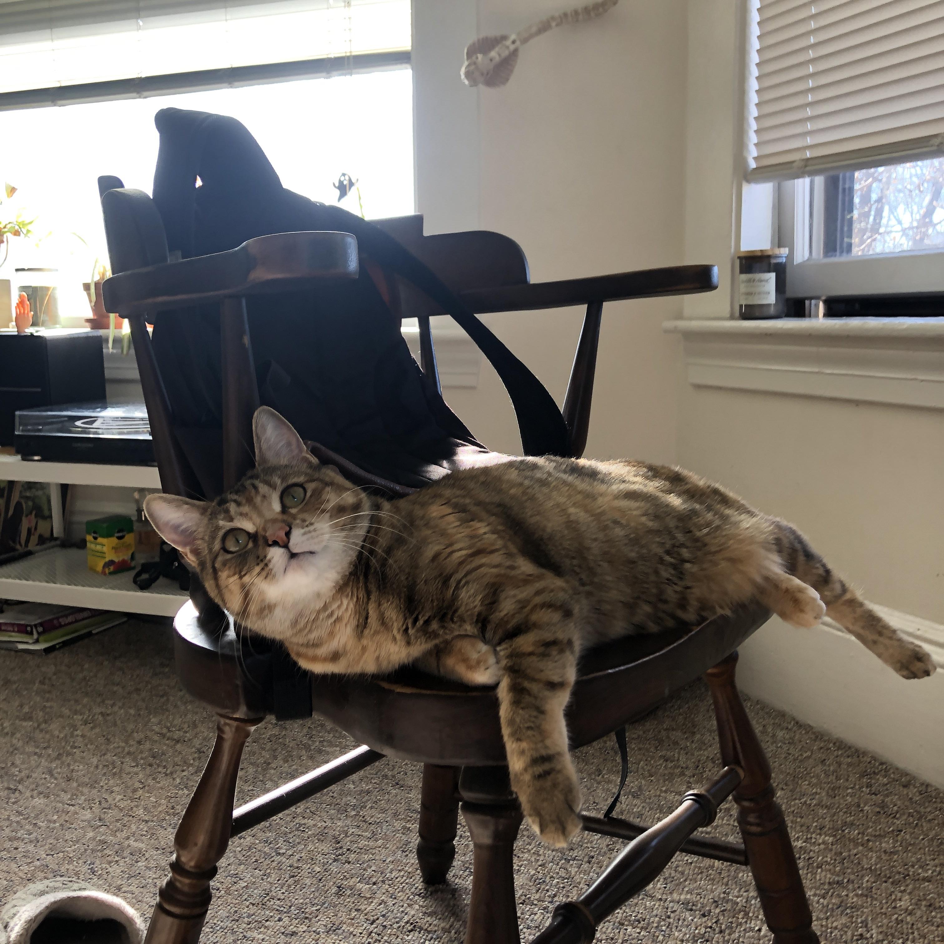 爱游戏官方-东京铁壁前的撒哈拉雄狮，斯通斯关键节点连击，马里绝境突围