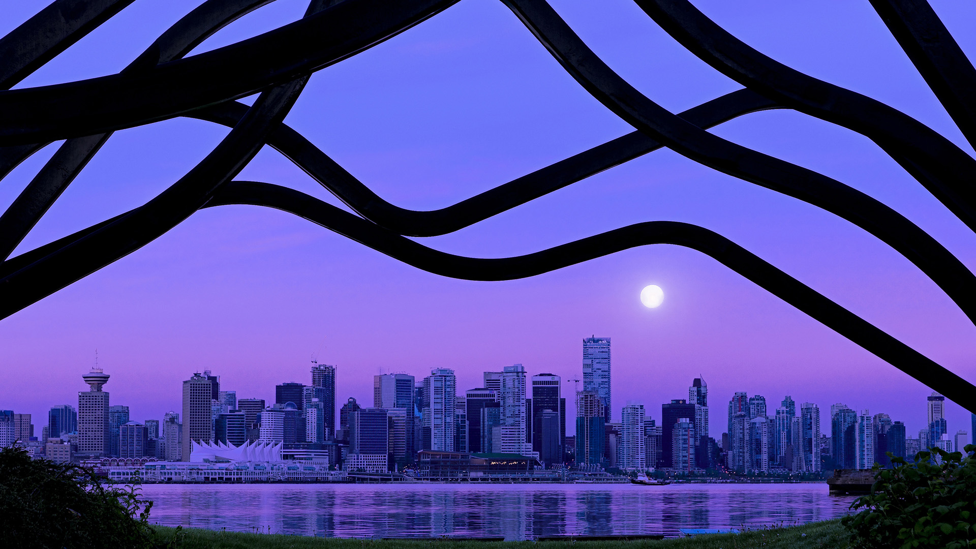 降维打击，当战术齿轮哈弗茨咬碎新西兰的橄榄球梦想