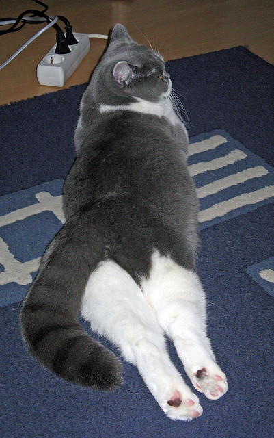 唯一答案，马克西西决生死战48分钟宣言