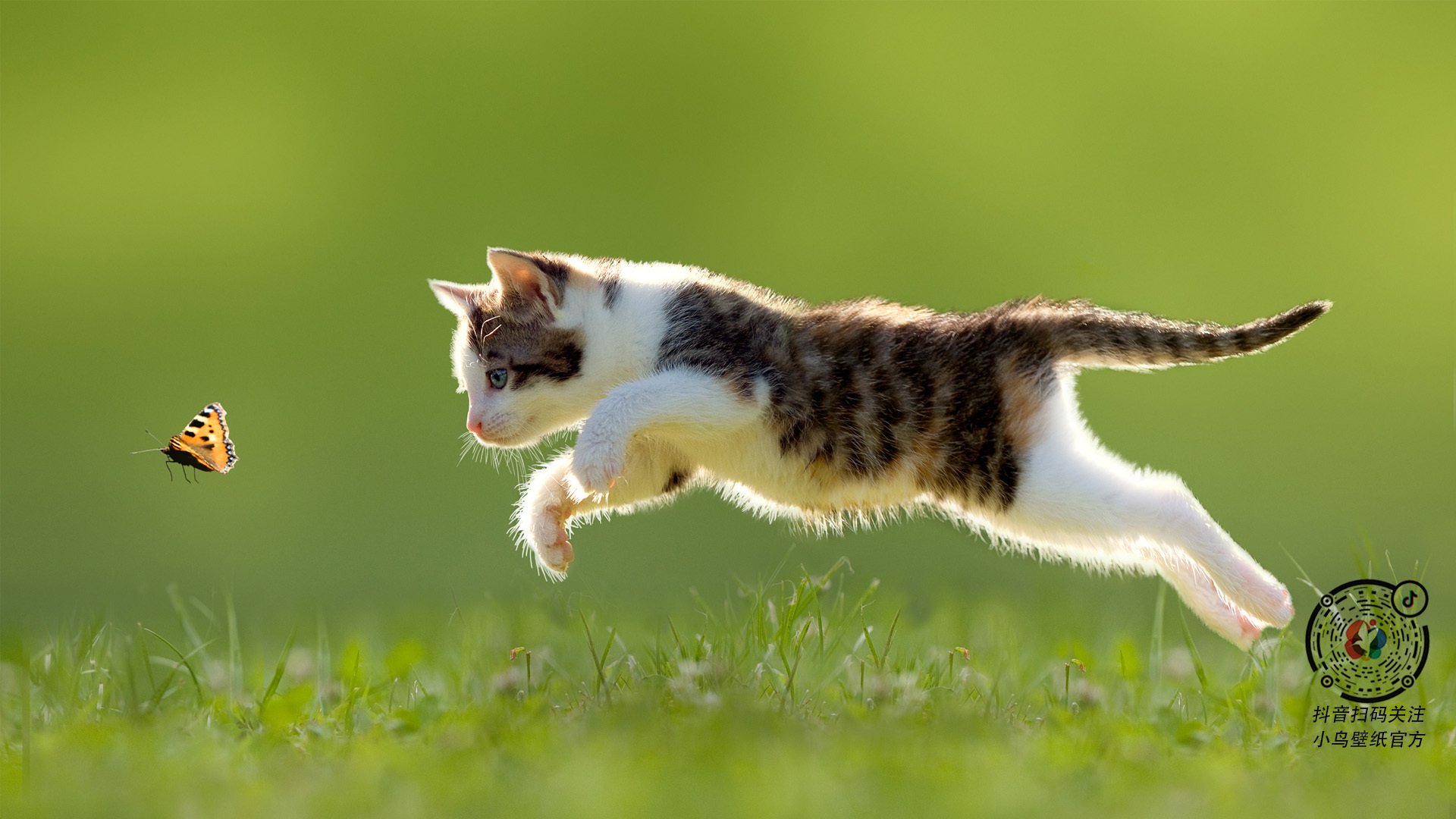 爱游戏大厅-比利时完胜威尔士，阿什拉夫关键一剑封喉