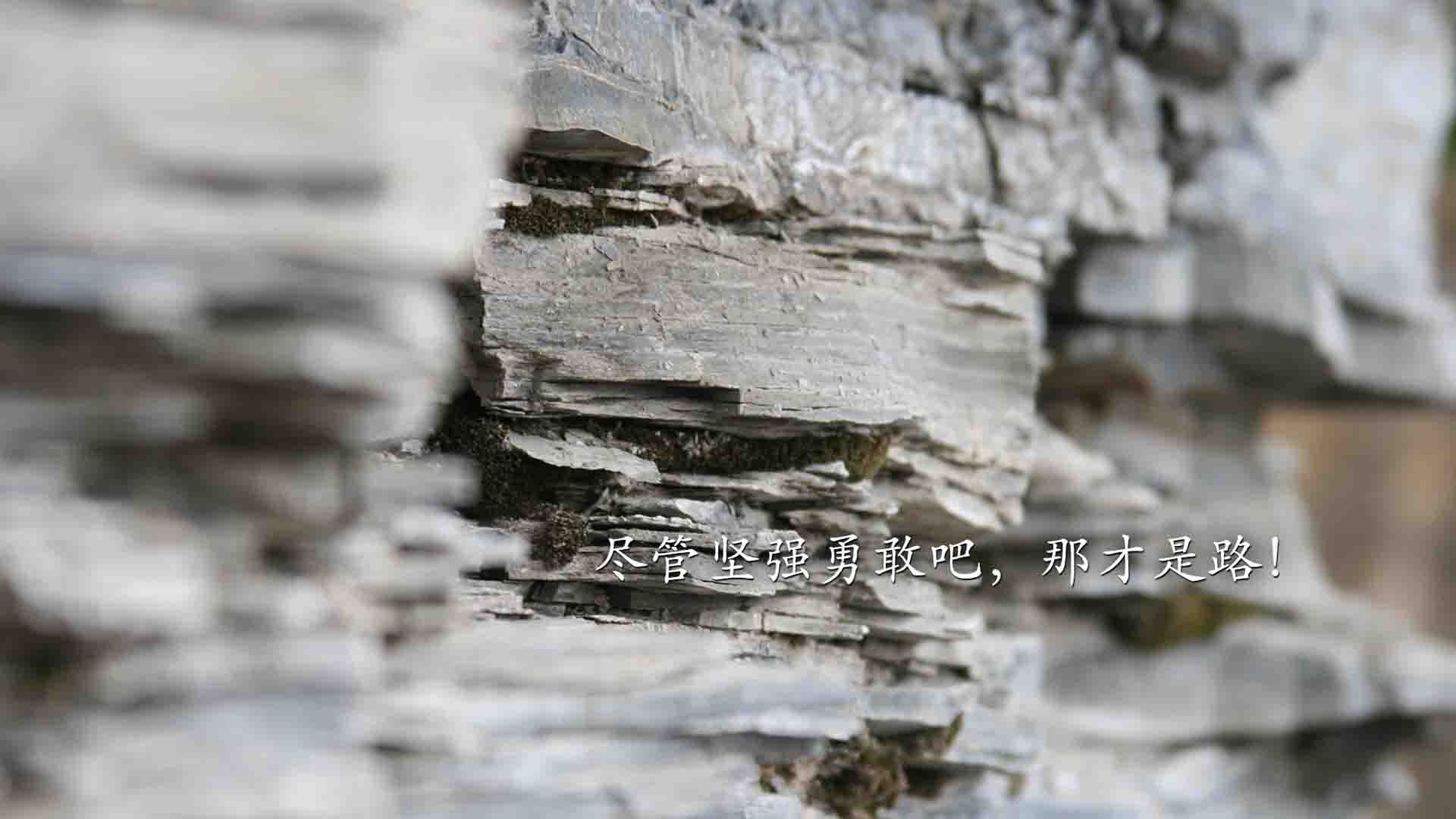 爱游戏在线-平行时空的竞技场，辽宁队与开拓者生死对决，如何成为2026世界杯的焦点战？