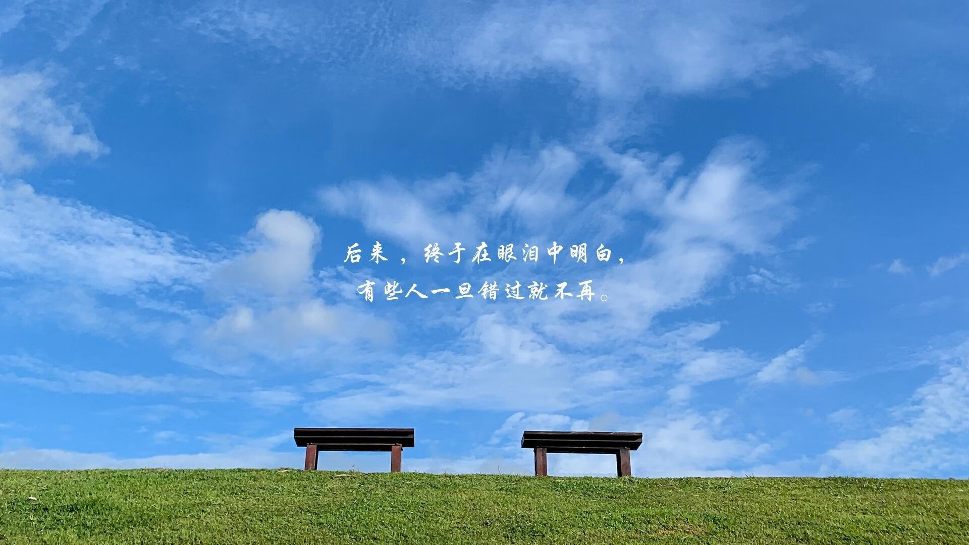 极速交响诗,当黄蜂刺穿爵士防线—F1新赛季揭幕战的跨界隐喻