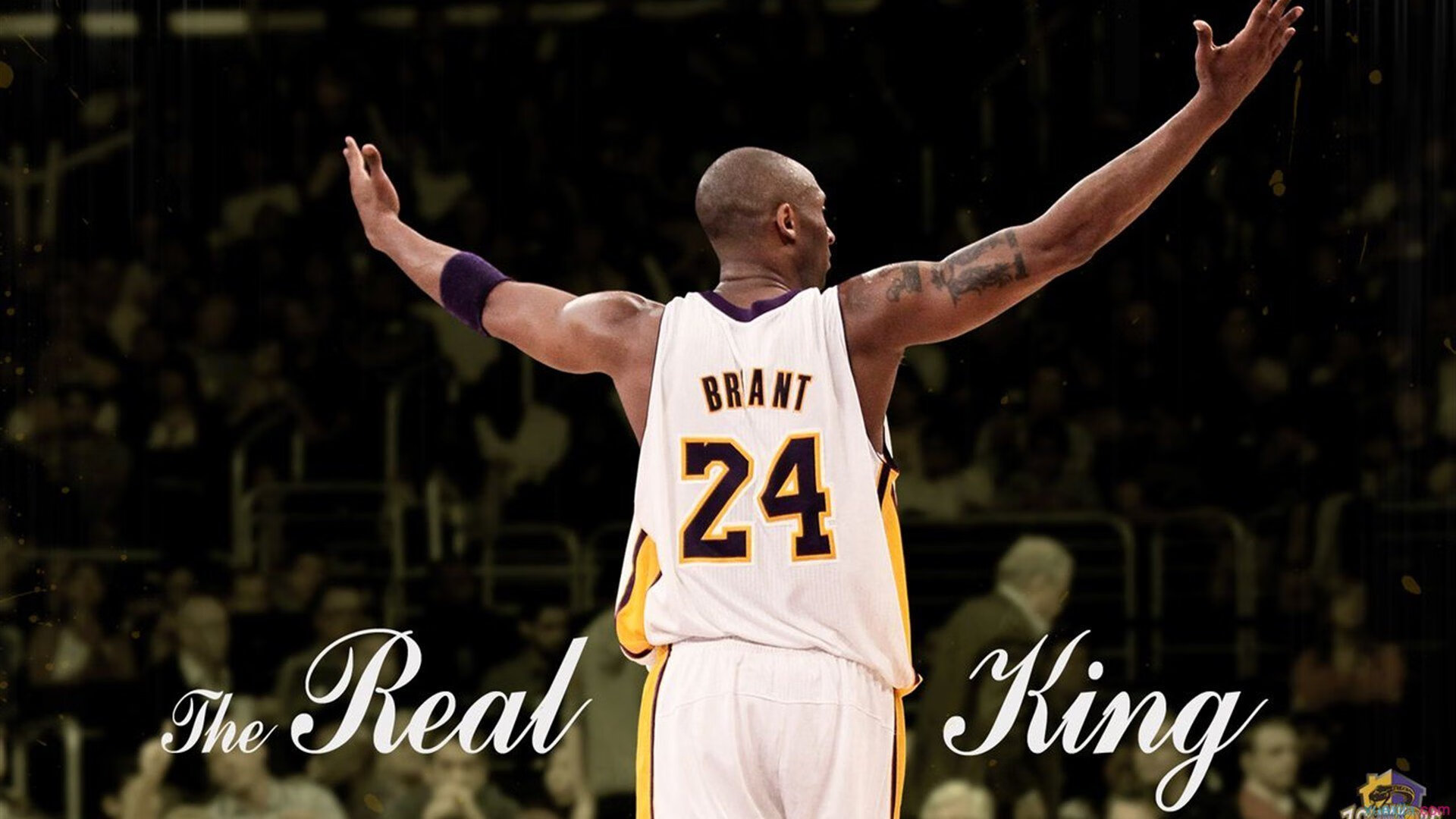 爱游戏下载-选项（请选择或融合您最倾向的风格）