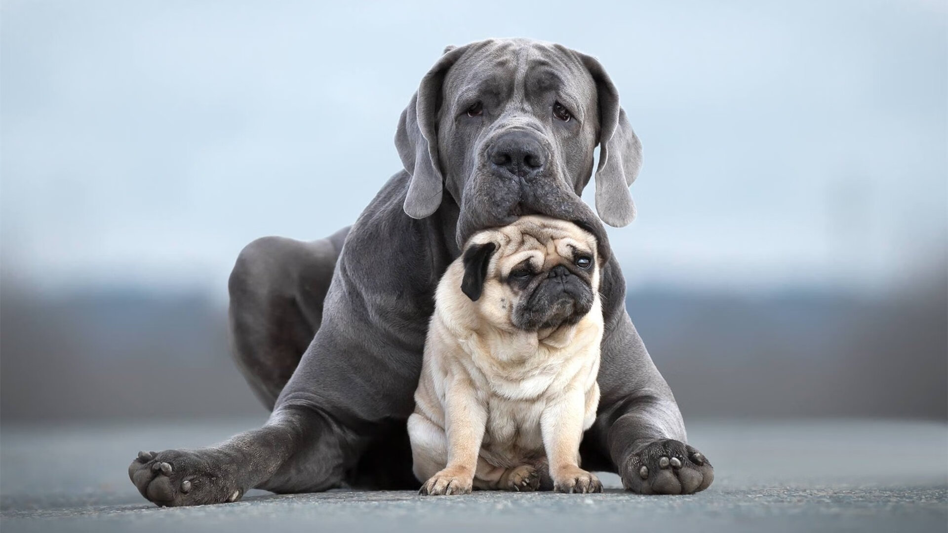 爱游戏APP-步行者对阵独行侠，恩比德刷新纪录，一场球赛背后的文化战略博弈