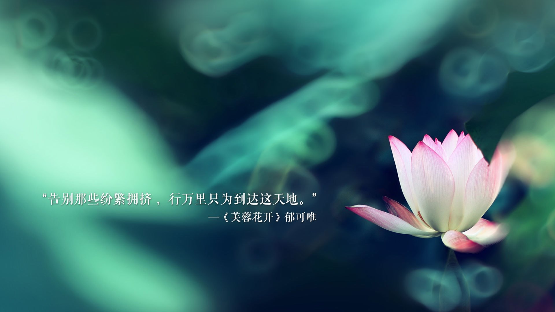 2026世界杯B组,厄瓜多尔逆转伊朗,吉鲁闪耀全场,中场掌控定乾坤