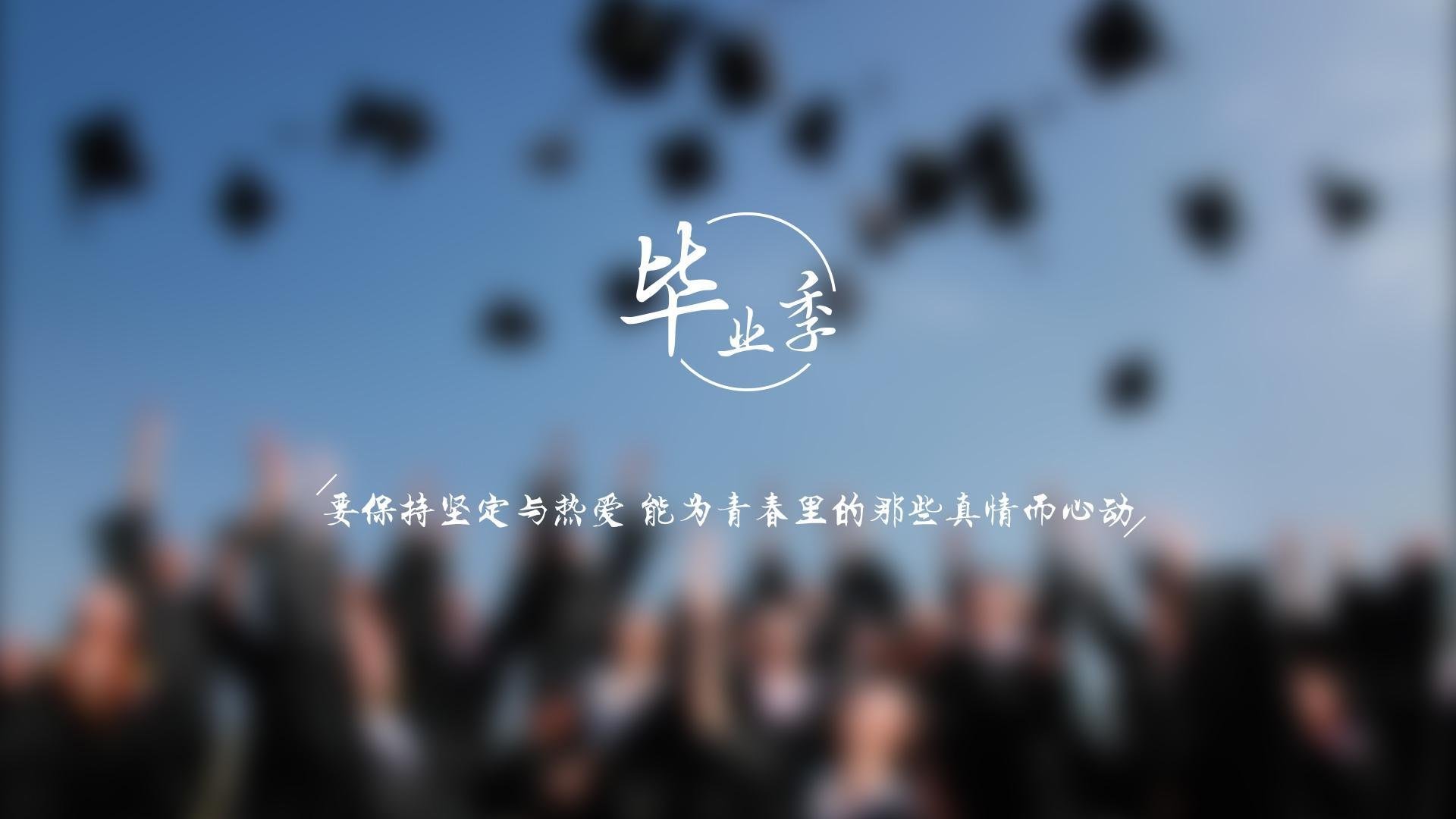 孤胆英雄的闪电战，贝林厄姆与塞尔维亚的铁骑，如何在2026世界杯八分之一决赛碾碎韩国梦