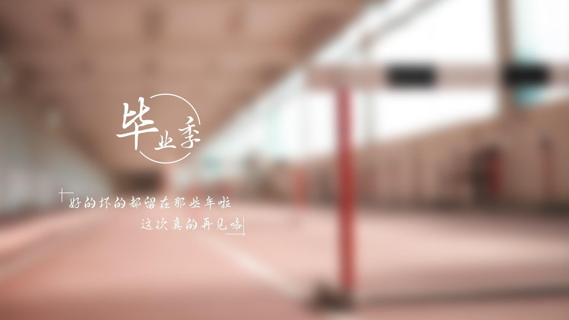 王者之刃与铁血之盾,2026世界杯F组,比利时如何用控球碾压德国,塔雷米点亮逆转之夜