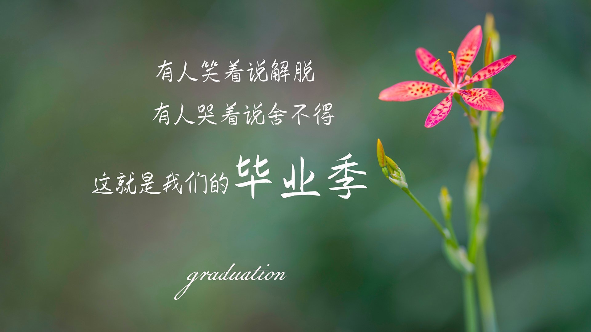爱游戏官方-东方风暴，2026世界杯巅峰对决，日本足球史诗横扫越南，维尼修斯致命一击书写新王传说