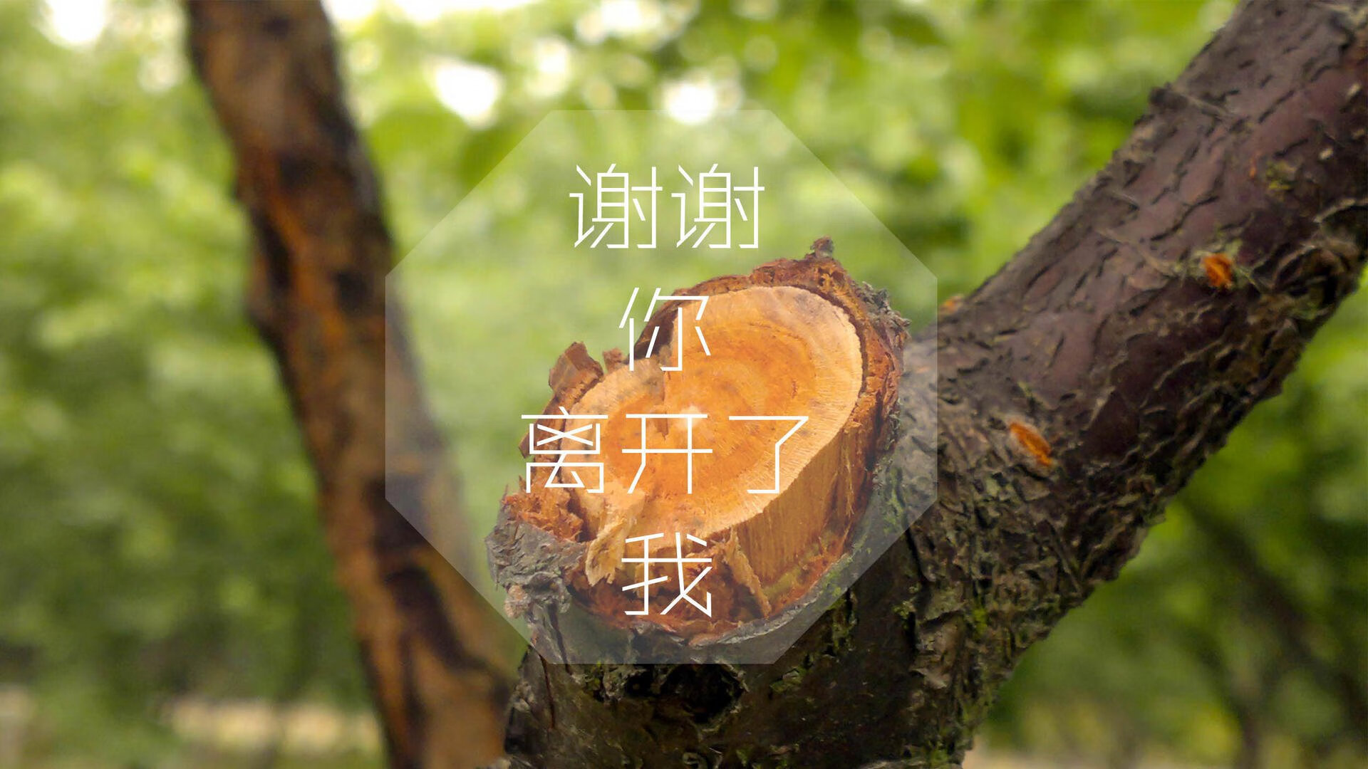 爱游戏入口-沙漠雄狮撕裂南美铁骑，2026世界杯A组，摩洛哥用意志写就的唯一史诗